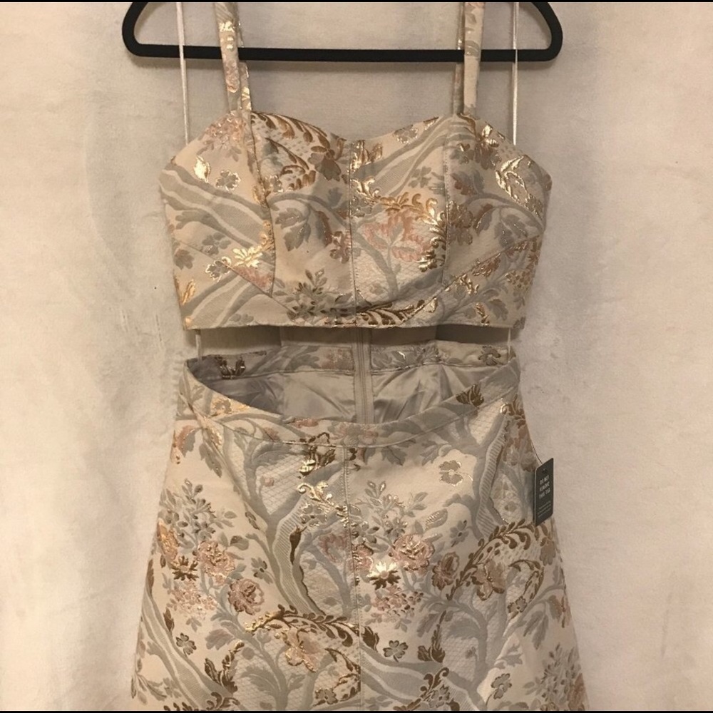 Express Cut-Out Cocktail Dress